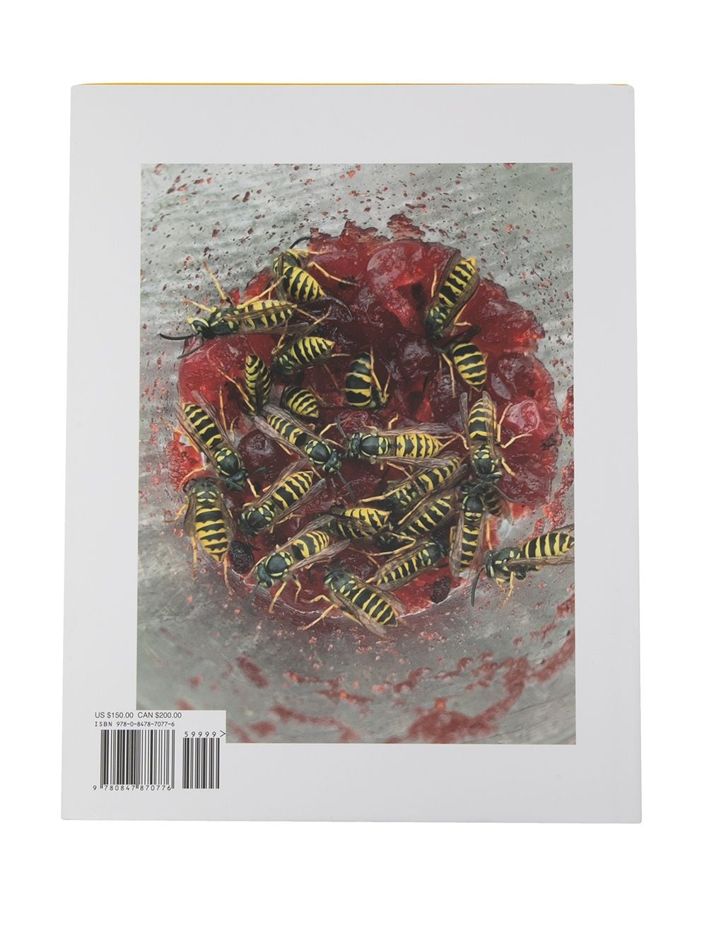 Juergen Teller: Donkey Man And Other Stories Book