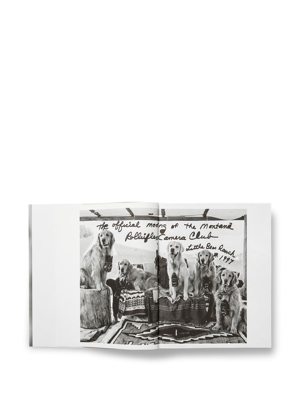 The Golden Retriever Photographic Society