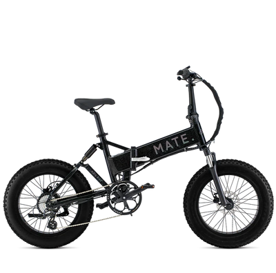 Mate X 250W Interstellar Black Bike