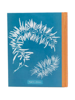 Anna Atkins Cyanotypes Book