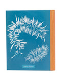 Anna Atkins Cyanotypes Book