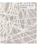 Cerith Wyn Evans:Hans Ulrich Obrist, Nancy Spector, And Daniel Birnbaum Book