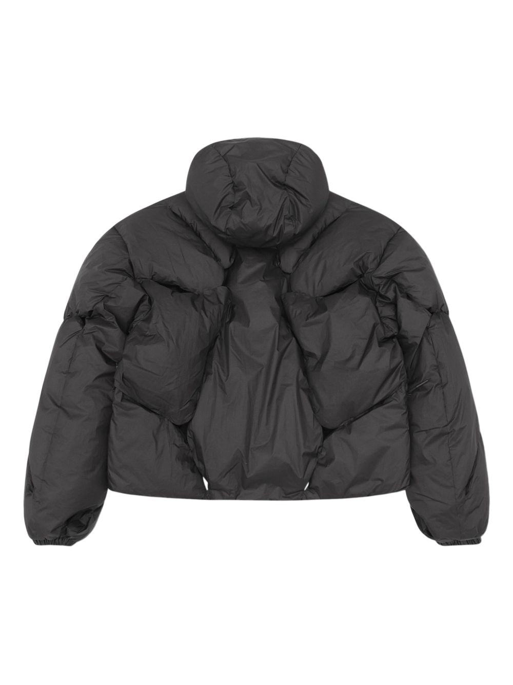 Amnis Jacket