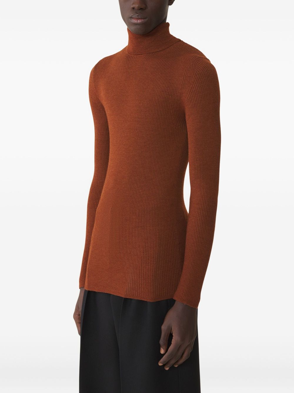 ribbed turtleneck sweater