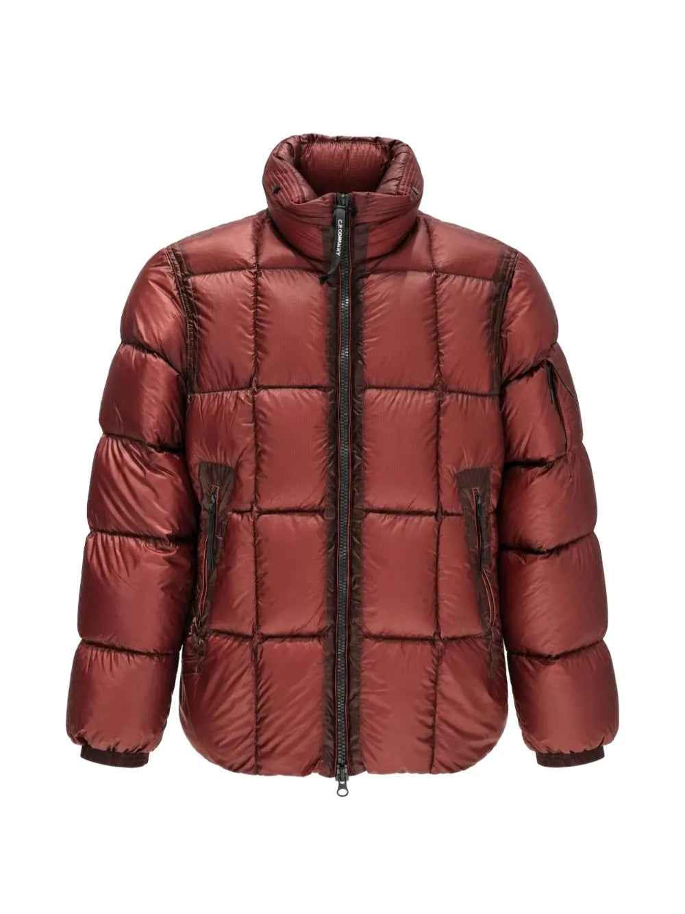 D.D. Shell Lens hooded down jacket