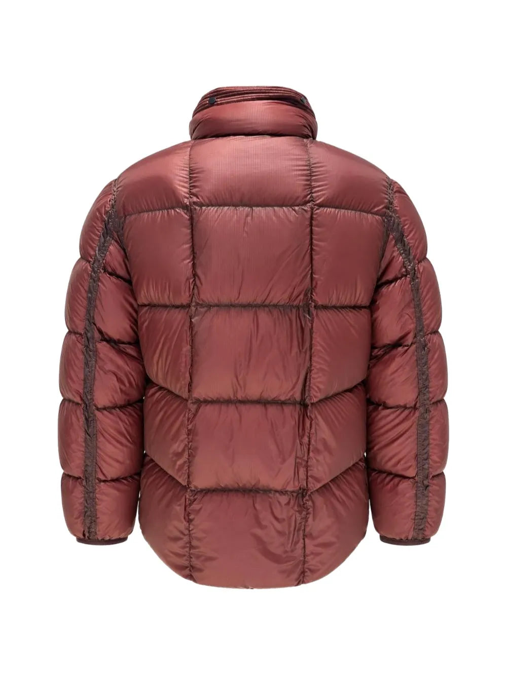 D.D. Shell Lens hooded down jacket