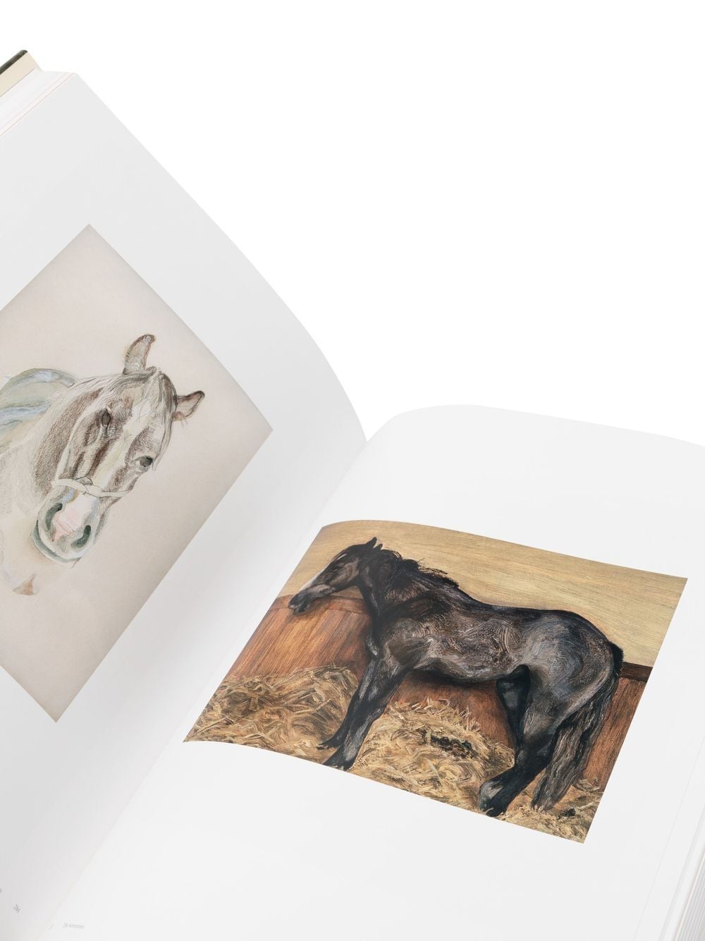 Image Print Book