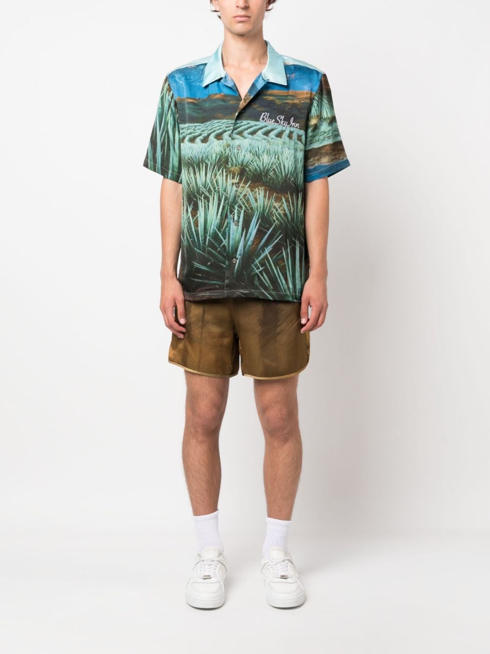 Palm Tree-Print Shorts