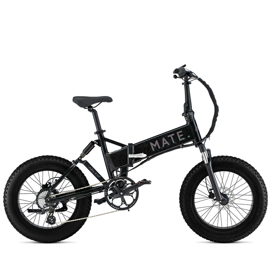 Mate X 250W Interstellar Black Bike